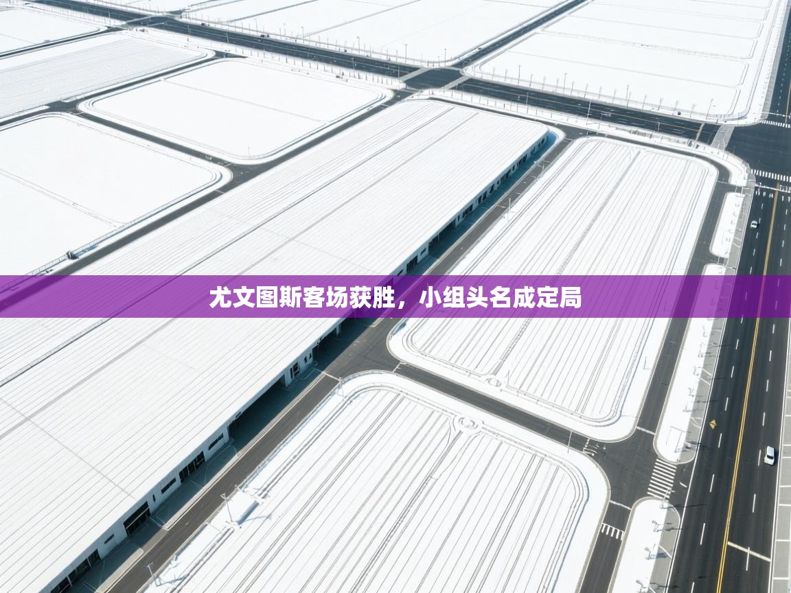 尤文图斯客场获胜，小组头名成定局  第1张