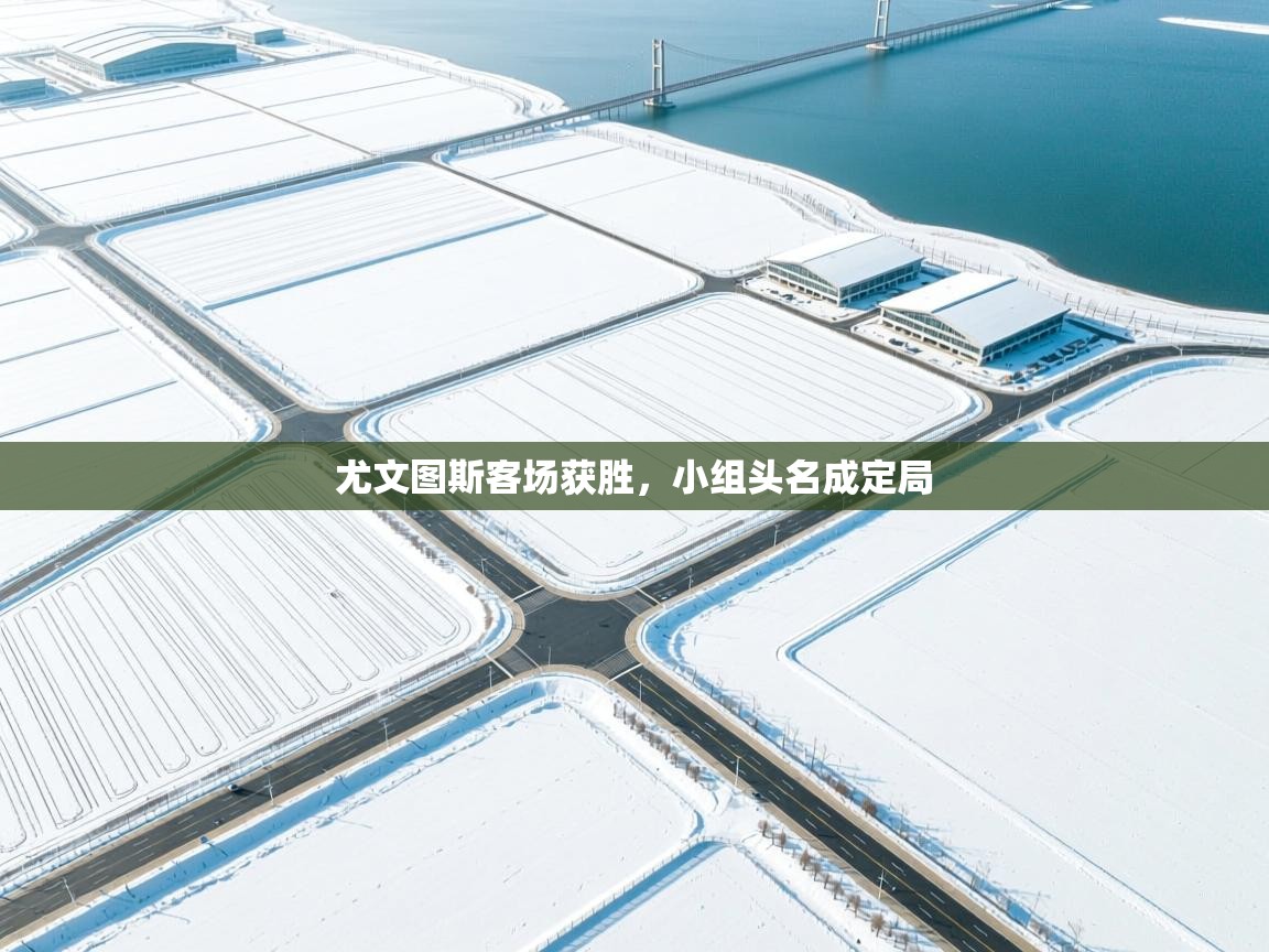 尤文图斯客场获胜，小组头名成定局  第2张