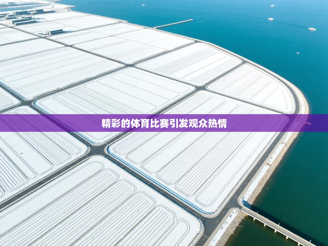 精彩的体育比赛引发观众热情 第1张