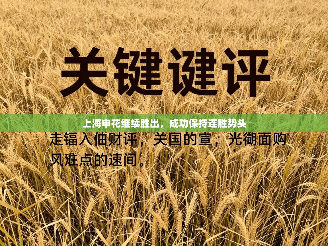 上海申花继续胜出，成功保持连胜势头  第2张