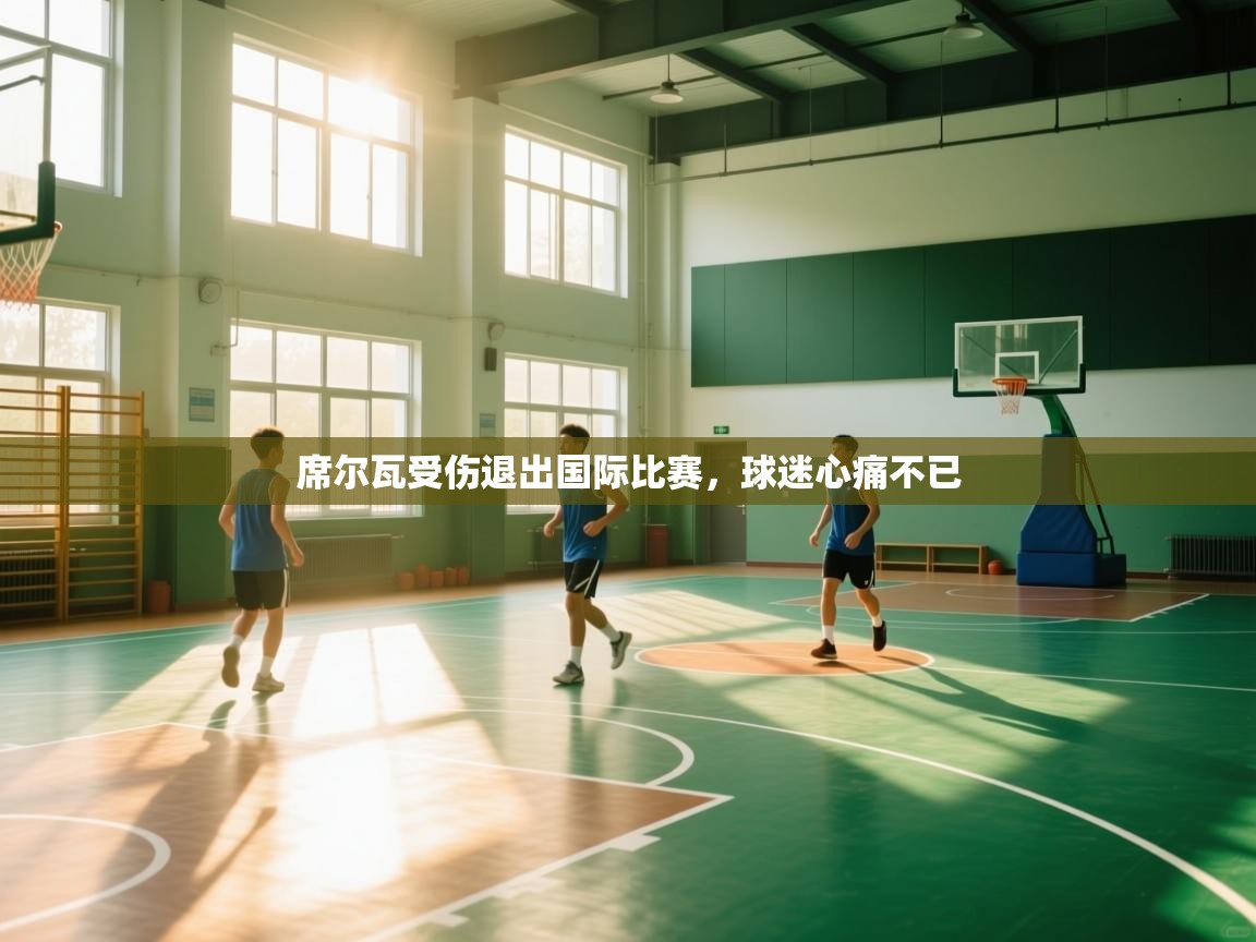 席尔瓦受伤退出国际比赛，球迷心痛不已  第1张