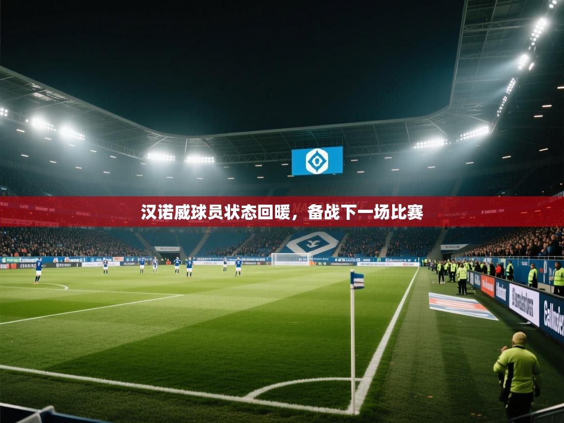 汉诺威球员状态回暖,备战下一场比赛 第2张